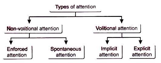 Types of Attention