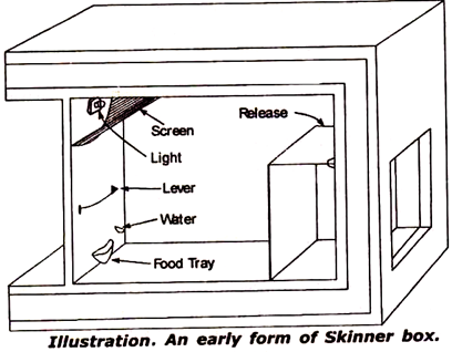 Form of Skinner Box